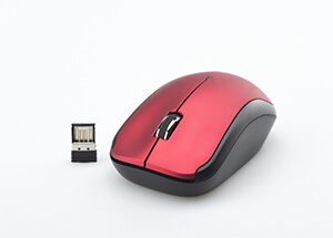 A4Tech Wireless Mouse